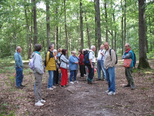 2008-07-Mycologie à la porte Baudet